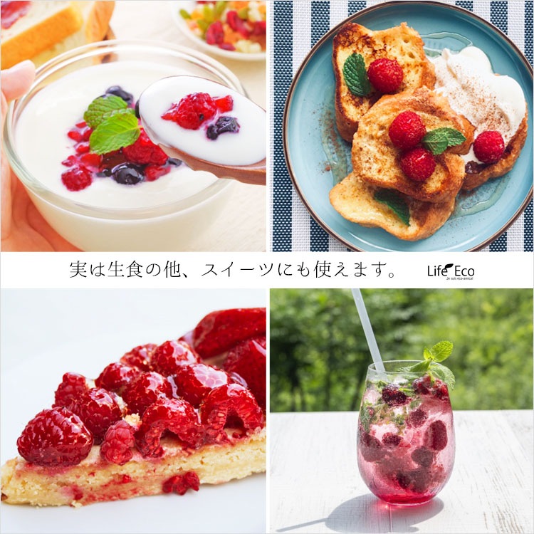 庭木・植木 ハラベリー（原ベリー、ラズベリー・レッドドリーム） / 4寸・約H60～80cm【送料E】