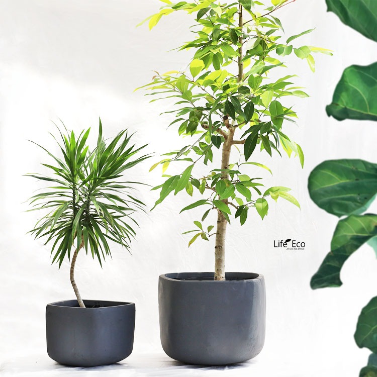 植木鉢【数量限定】ファイバークレイ製 トラペゾイド グレー（灰） φ29cm×H28cm（10号）【送料E】