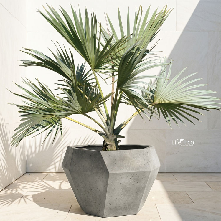 植木鉢 大型 軽量 FRP製 オクタジオ（OCTAGIO） ワイド ライトグレー φ95.5cm×H60cm（32号・32寸）【大型貨物扱い】【法人配達】【パレット配送・送料お見積り】