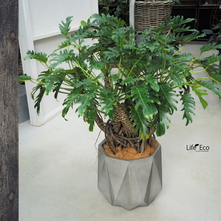 植木鉢 大型 軽量 FRP製 オクタジオ（OCTAGIO） ワイド ライトグレー φ95.5cm×H60cm（32号・32寸）【大型貨物扱い】【法人配達】【パレット配送・送料お見積り】