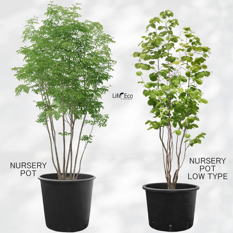 植木鉢 軽量 ナーセリーポット ロータイプ（育苗、栽培、インナーポット用） ブラック（黒） / φ33cm×H26cm（11号）【10個入】【送料F】