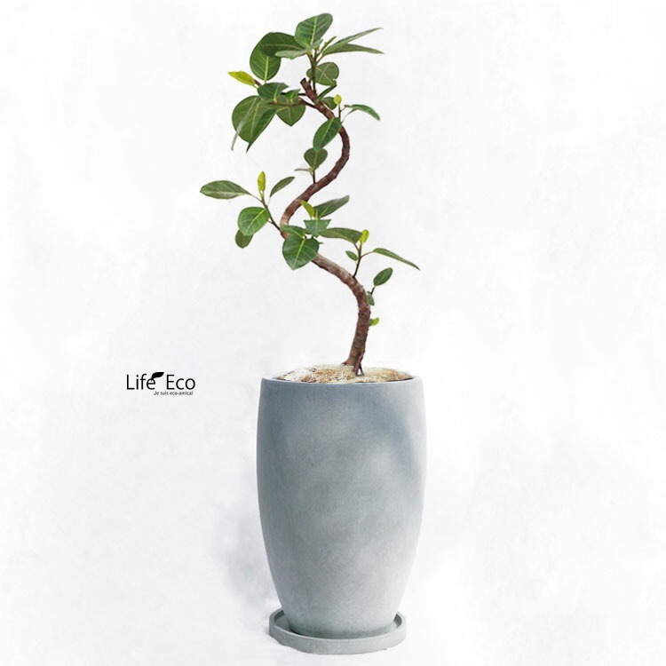 植木鉢 釉薬陶器製 インテリアポット アイル トール グレー（ライトグリーン）/ φ22cm×H32cm（7号）【送料E】