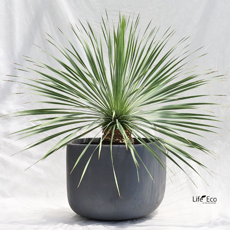 植木鉢【数量限定】ファイバークレイ製 トラペゾイド グレー（灰） φ39cm×H32cm（13号）【送料F】