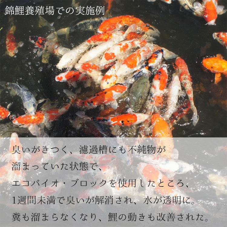 水質浄化材（池・河川・養殖場 他）エコバイオ・ブロック・オクトM 【EBB oct M】～美しい水質をキープ～【2個入】【送料B】
