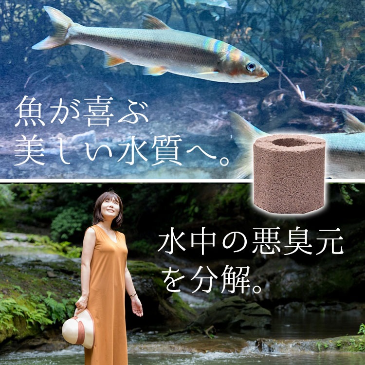水質浄化材（池・河川・養殖場 他）エコバイオ・ブロック・オクトM 【EBB oct M】～美しい水質をキープ～【2個入】【送料B】