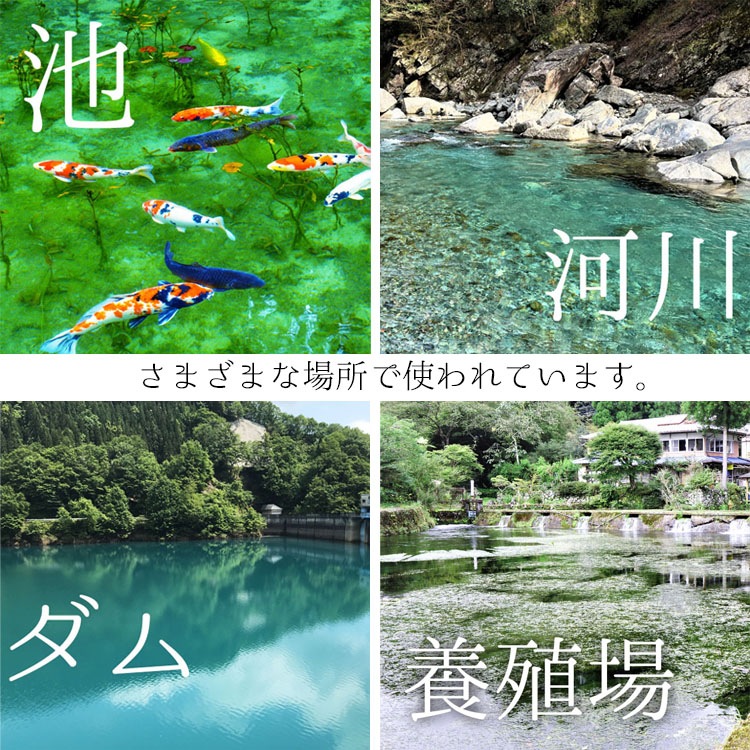 水質浄化材（池・河川・養殖場 他）エコバイオ・ブロック・オクトM 【EBB oct M】～美しい水質をキープ～【2個入】【送料B】