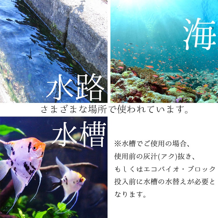 水質浄化材（池・河川・養殖場 他）エコバイオ・ブロック・オクトM 【EBB oct M】～美しい水質をキープ～【2個入】【送料B】