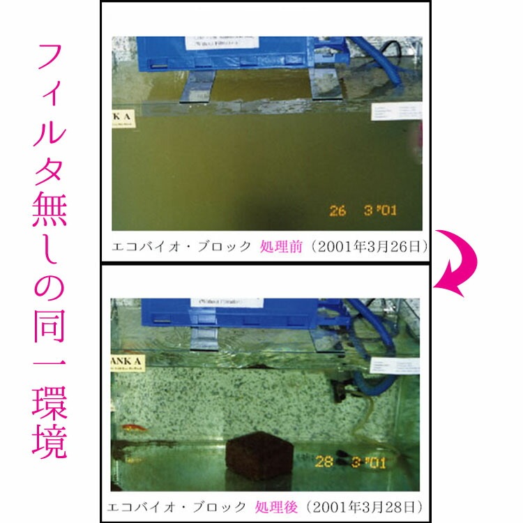 水質浄化材（池・河川・養殖場 他）エコバイオ・ブロック・オクトM 【EBB oct M】～美しい水質をキープ～【2個入】【送料B】