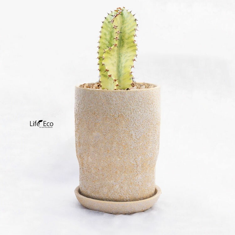 植木鉢 インテリアポット バルナ トール クリーム / φ13.5cm×H18.7cm（4.5号）【送料B】