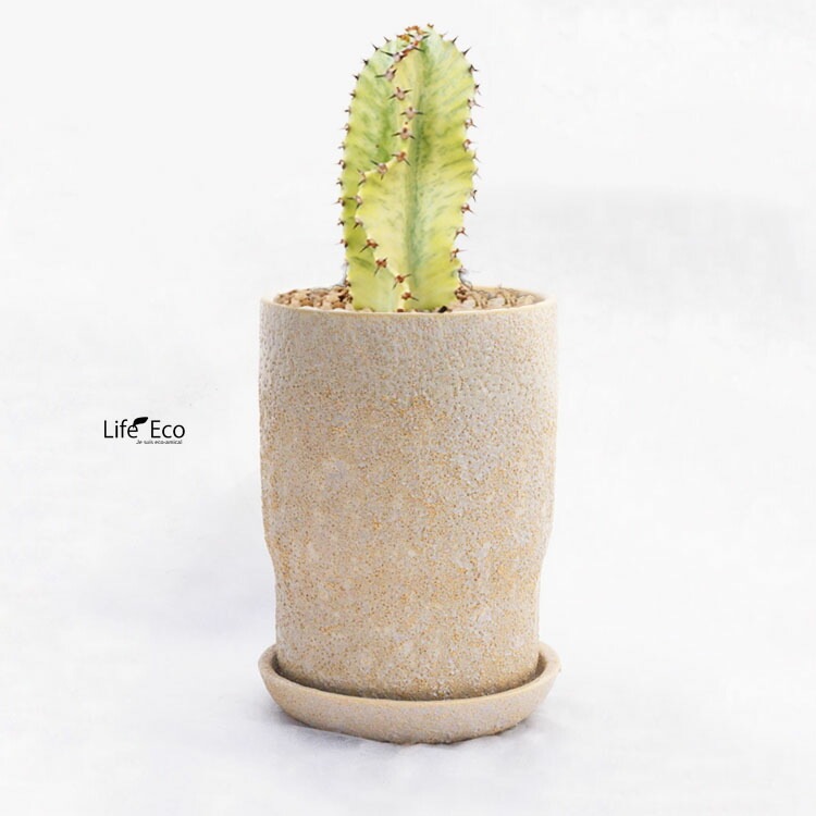 植木鉢 インテリアポット バルナ トール クリーム / φ13.5cm×H18.7cm（4.5号）【送料A】