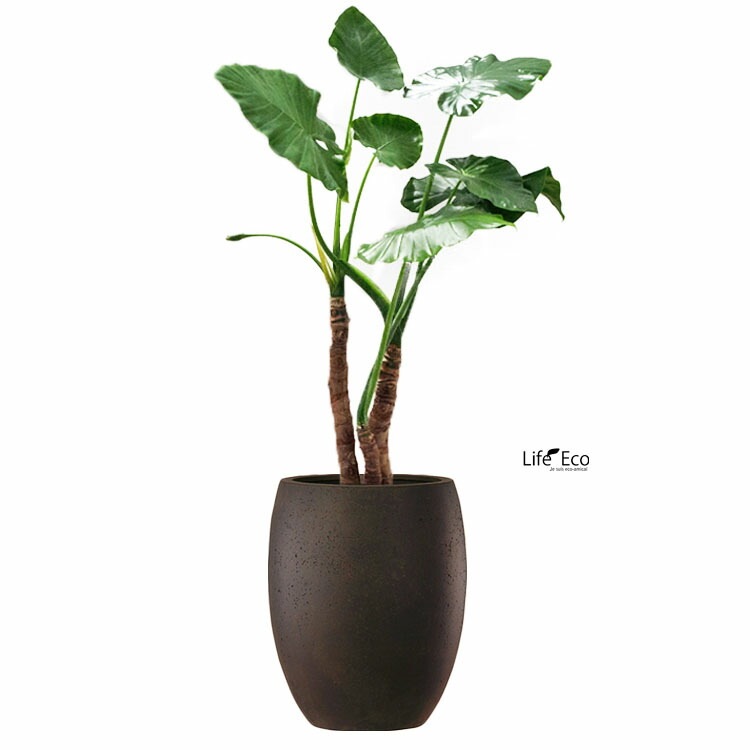 植木鉢 ファイバー製 おしゃれ 軽量 テラニアス 40cm ハイバルーン  アンティークブラウン（ブラック・黒） 大型【送料F】