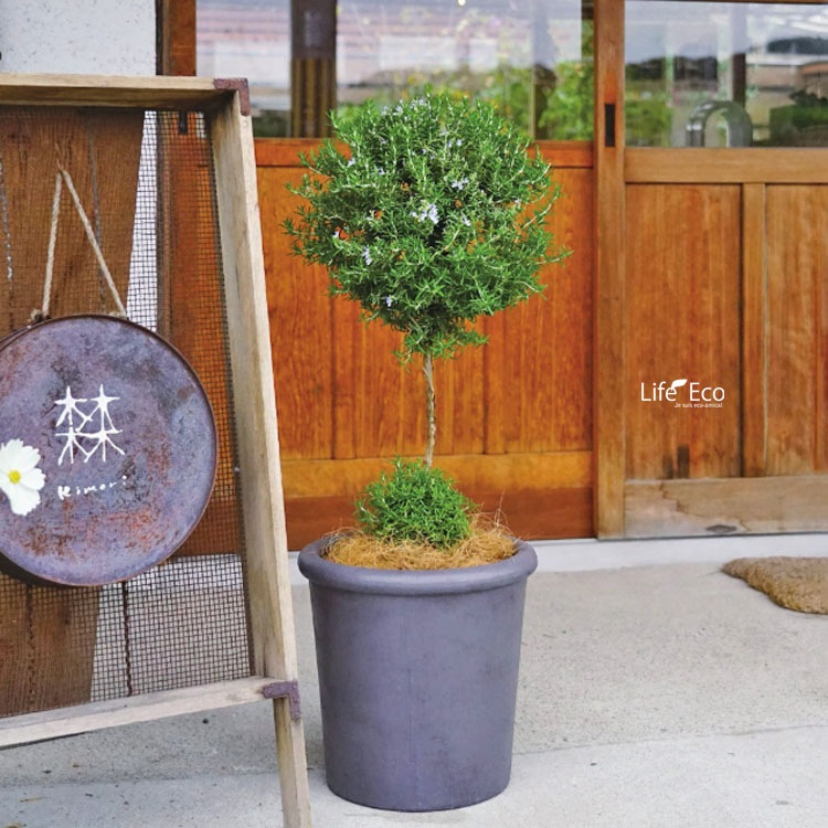 植木鉢 軽量大型 ファイバークレイ製 シンプルリム ラウンド ホワイト（白） / φ31cm×H30cm（10号）【送料E】