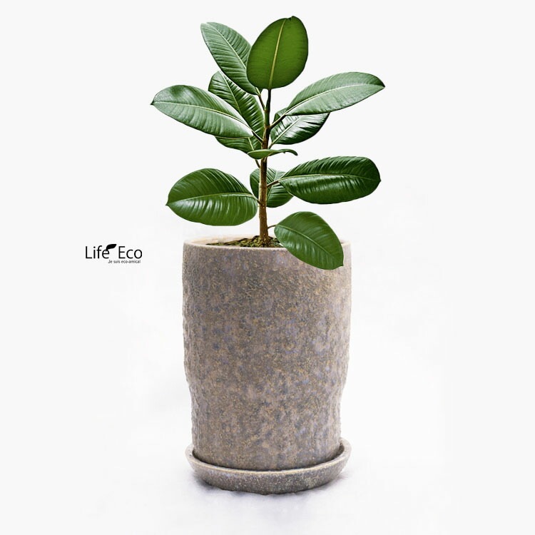 植木鉢 インテリアポット バルナ トール スカイグレー / φ13.5cm×H18.7cm（4.5号）【送料B】