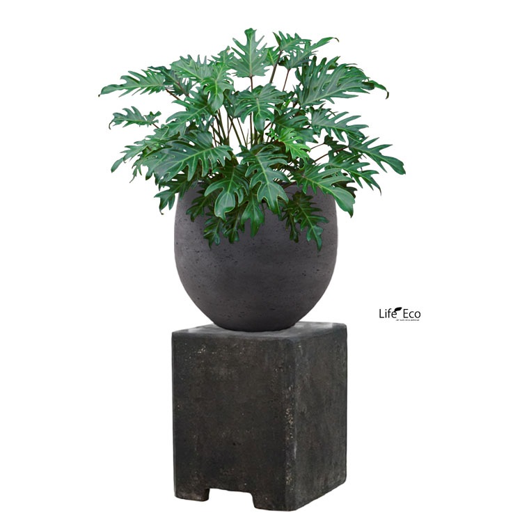 花台（鉢置台） テラコッタ製 ペデスタル プリズム アンティークブラック（黒） □24cm×H30cm【送料B】