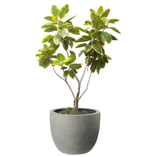 植木鉢 大型 軽量 FPR製 モードライト ラウンド ライトグレー φ45cm×H38cm（15号 15寸）【送料E】