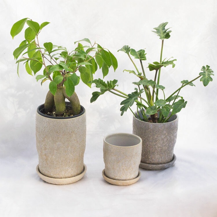 植木鉢 インテリアポット バルナ ラウンド グリーン（緑）/ φ10.5cm×H11cm（3.5号）【送料B】