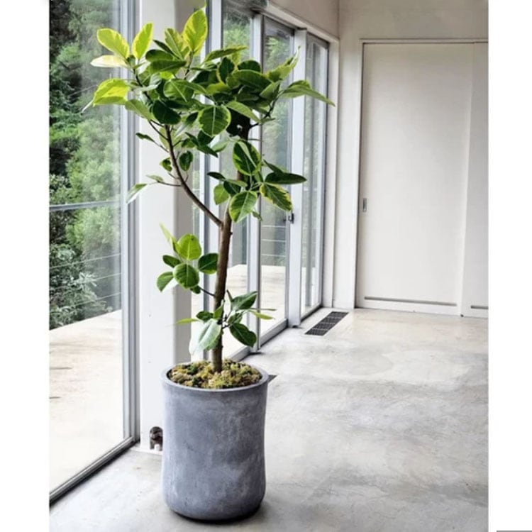 植木鉢 軽量 ファイバークレイ製 バスク ミドル グレー 灰 44cm（15号）【送料F】