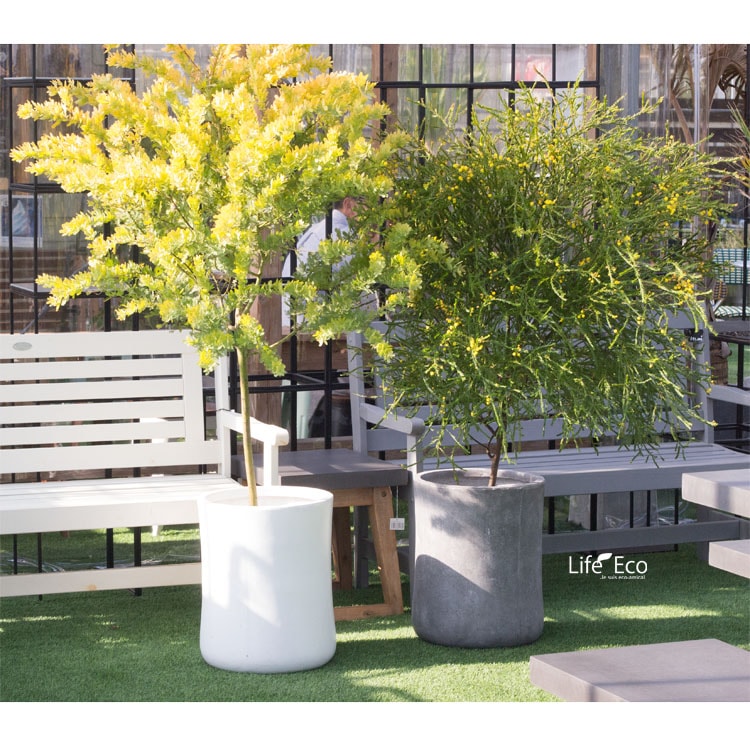 植木鉢 軽量 ファイバークレイ製 バスク ミドル グレー 灰 44cm（15号）【送料F】