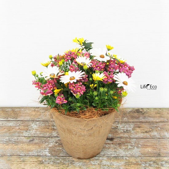 植木鉢 底面給水型(底栓付)アートストーン ラウンド ベージュ 22cm（7号）【2個入】【送料B】