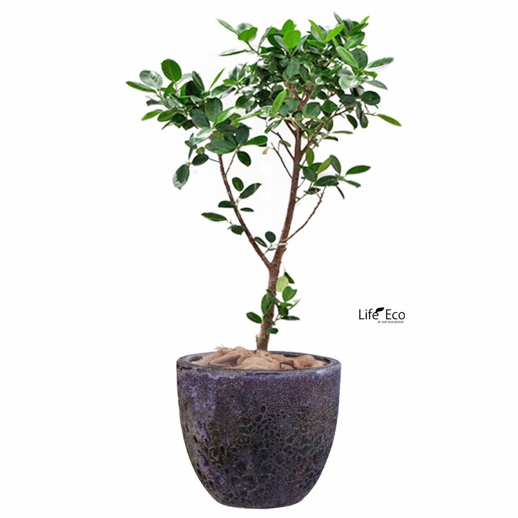 鈞窯 植木鉢 鈞窯 植木鉢 鈞窯 鉢｜商品販売｜玉堂窯元