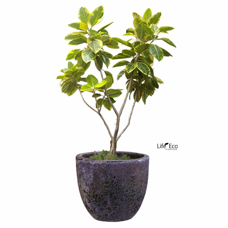 植木鉢 釉薬陶器製 大型 おしゃれ ボルカーノ ラウンド Fブルー（青） φ33cm×H29cm（11号）【送料E】