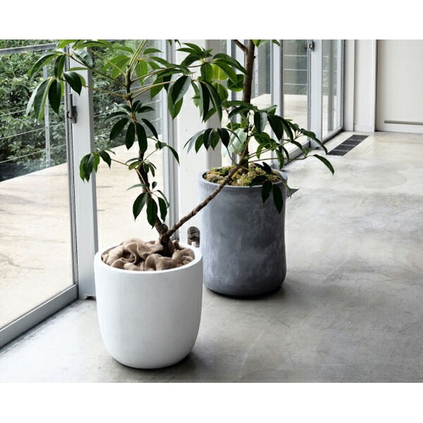 植木鉢 軽量 ファイバークレイ製 バスク ミドル ホワイト 白 44cm（15号）【送料F】