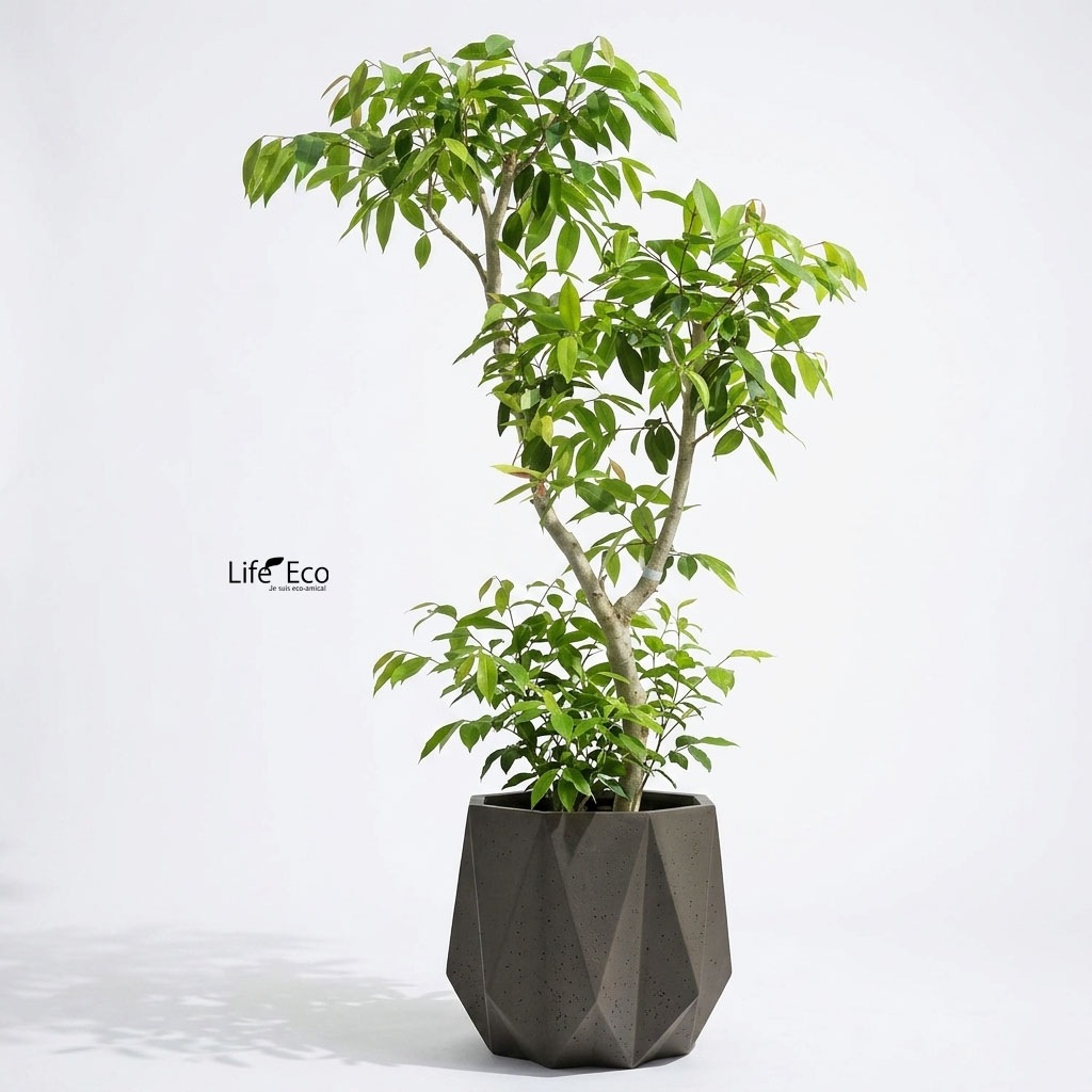 植木鉢 植木鉢 大型 軽量 FRP製 オクタジオ（OCTAGIO） ローコア マキアート