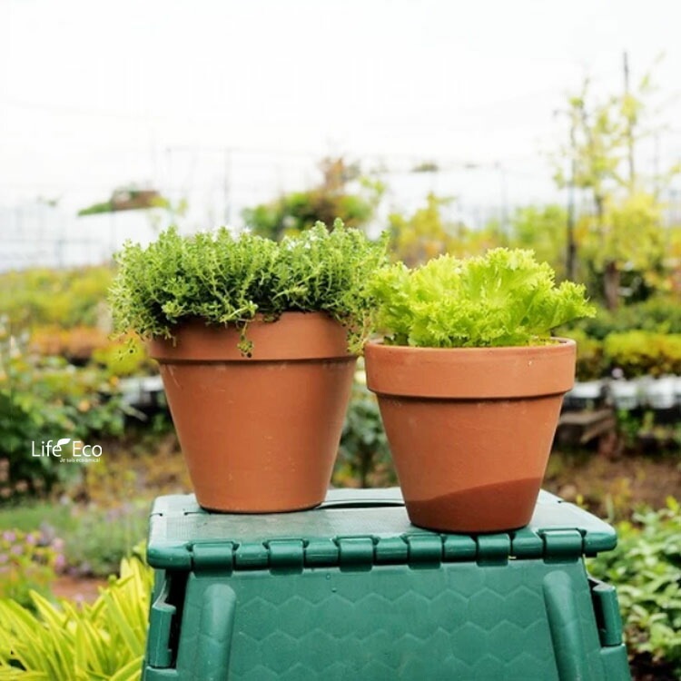 植木鉢 イタリア製 素焼き テラコッタ鉢 スタンダードポット 15cm（5号）【16個入】【送料E】