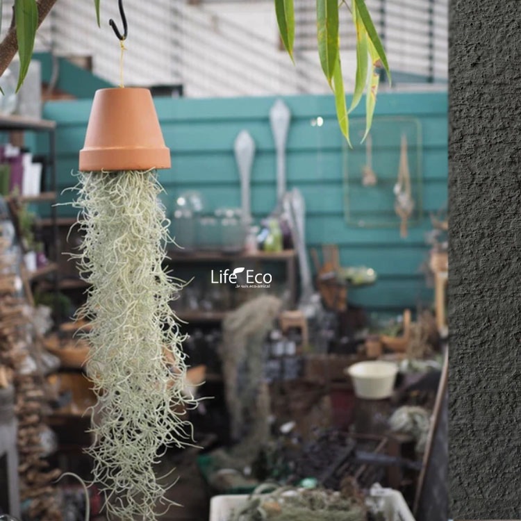 植木鉢 イタリア製 素焼き テラコッタ鉢 スタンダードポット 15cm（5号）【16個入】【送料E】