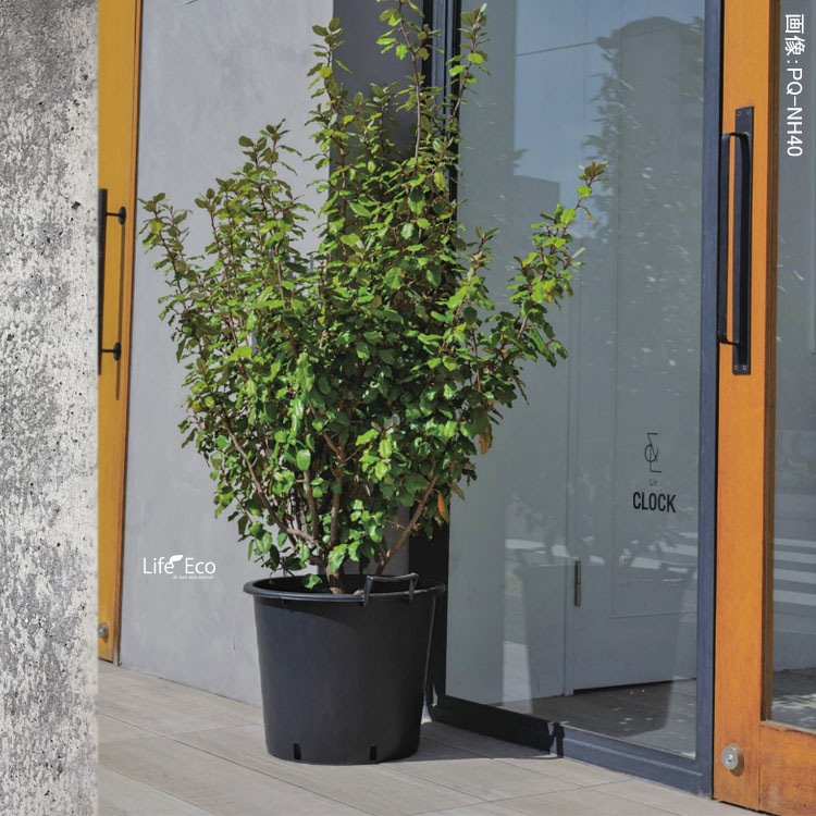 植木鉢 軽量 ナーセリーポット ハンドル付（育苗、栽培、インナーポット用） ブラック（黒） / φ80cm×H51cm（27号）【送料J】