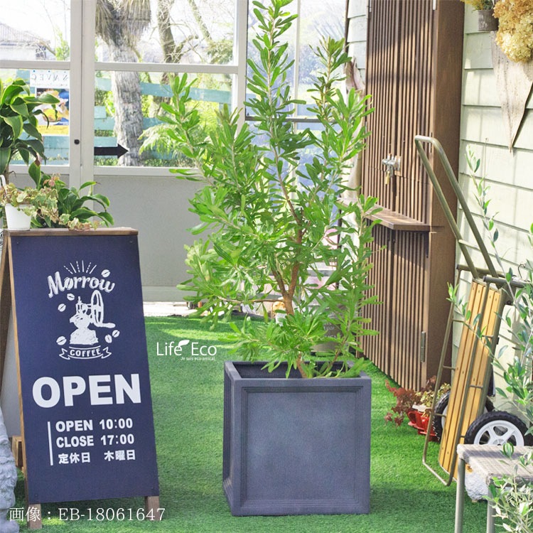 植木鉢 大型 FRP製（ファイバー） おしゃれ 軽量 LL ブリティッシュ Pキューブ グレー（灰）□39cm×H39cm（13号）【送料E】