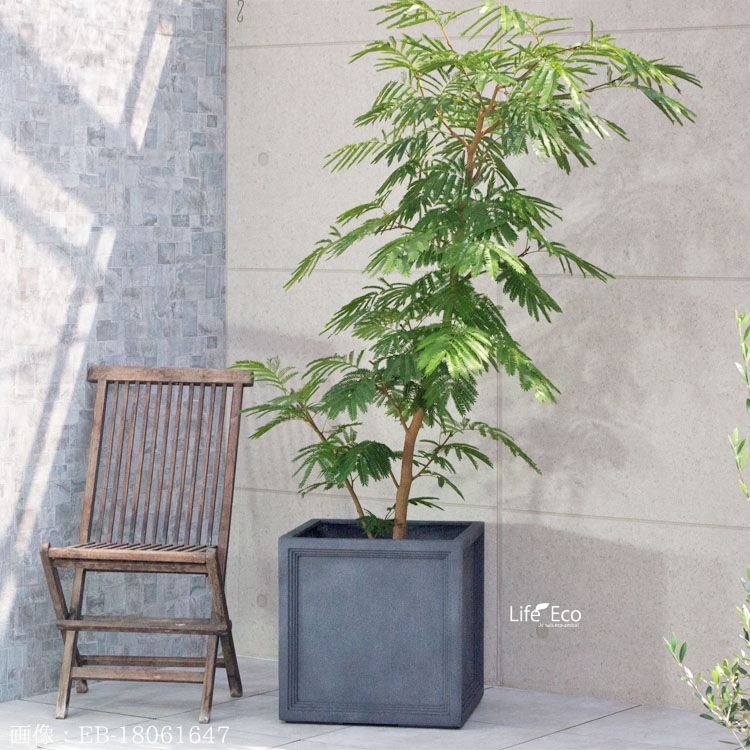 植木鉢 大型 FRP製（ファイバー） おしゃれ 軽量 LL ブリティッシュ Pキューブ グレー（灰）□39cm×H39cm（13号）【送料E】