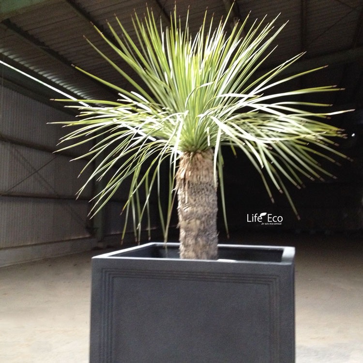植木鉢 大型 FRP製（ファイバー） おしゃれ 軽量 LL ブリティッシュ Pキューブ グレー（灰）□39cm×H39cm（13号）【送料E】