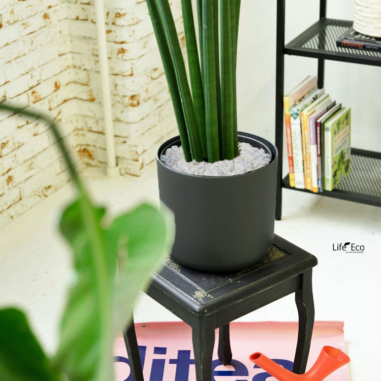 鉢土に載せるマルチングストーン（カラーストーン・化粧石）ホワイト（角） 5～20mm  / 観葉植物、鉢花、鉢植え庭木の乾燥・害虫防止【送料無料】