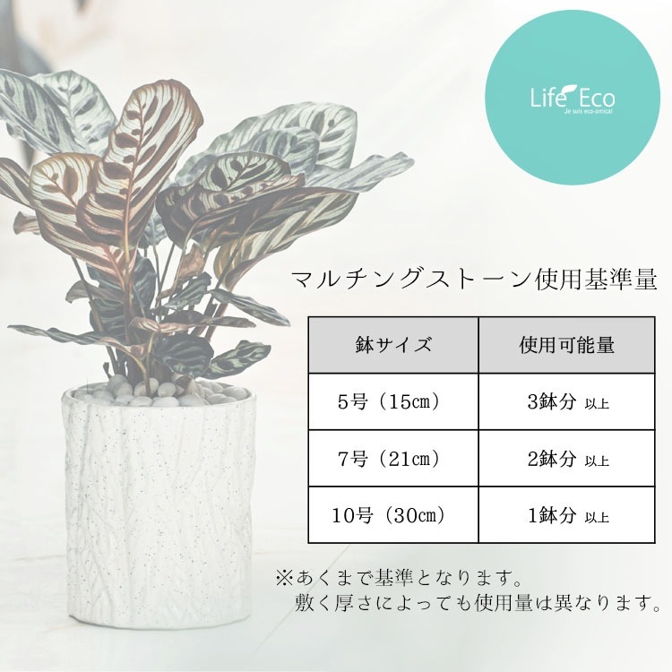 鉢土に載せるマルチングストーン（カラーストーン・化粧石）ホワイト（角） 5～20mm  / 観葉植物、鉢花、鉢植え庭木の乾燥・害虫防止【送料無料】