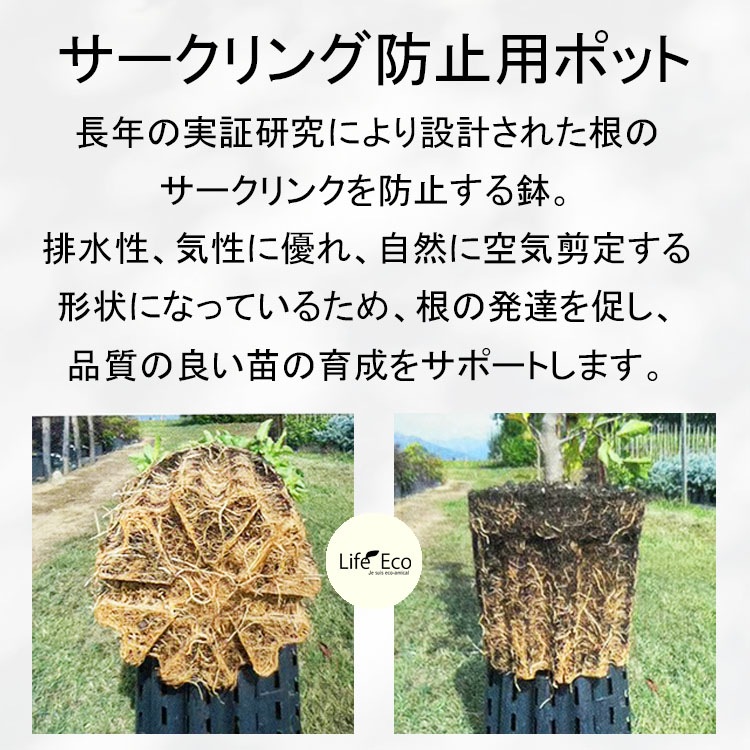 植木鉢 軽量 ナーセリーポット エルコール（根のサークリング防止用ポット） ブラック（黒） / φ50cm×H39cm（17号）【5個入】【送料G】