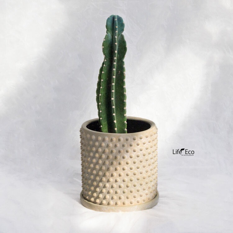 植木鉢 釉薬陶器製 インテリアポット アイル スタッズ イエロー（黄）/ φ24cm×H23cm（8号）【送料E】
