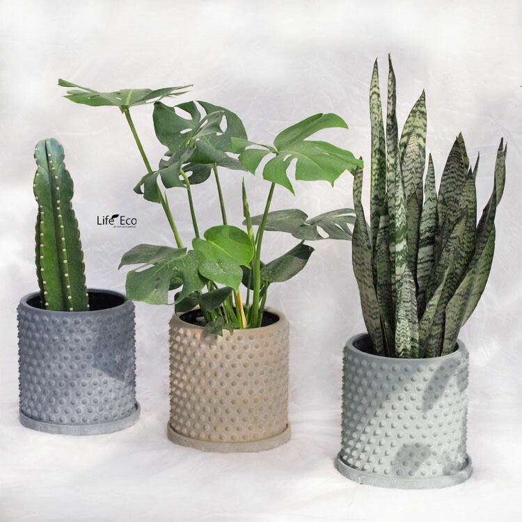 植木鉢 釉薬陶器製 インテリアポット アイル スタッズ イエロー（黄）/ φ24cm×H23cm（8号）【送料E】