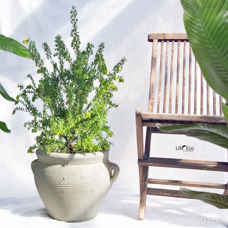 植木鉢 テラコッタ製 チュニジア 020　ホワイト（白） / φ33.5cm×H30cm（11号）【送料E】