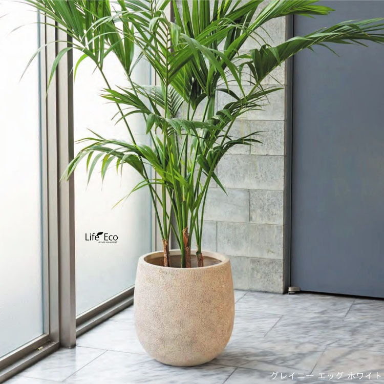 植木鉢 ファイバークレイ製 グレイニー エッグ ブラック（黒） / φ35.5cm×H35.5cm（12号）【送料E】