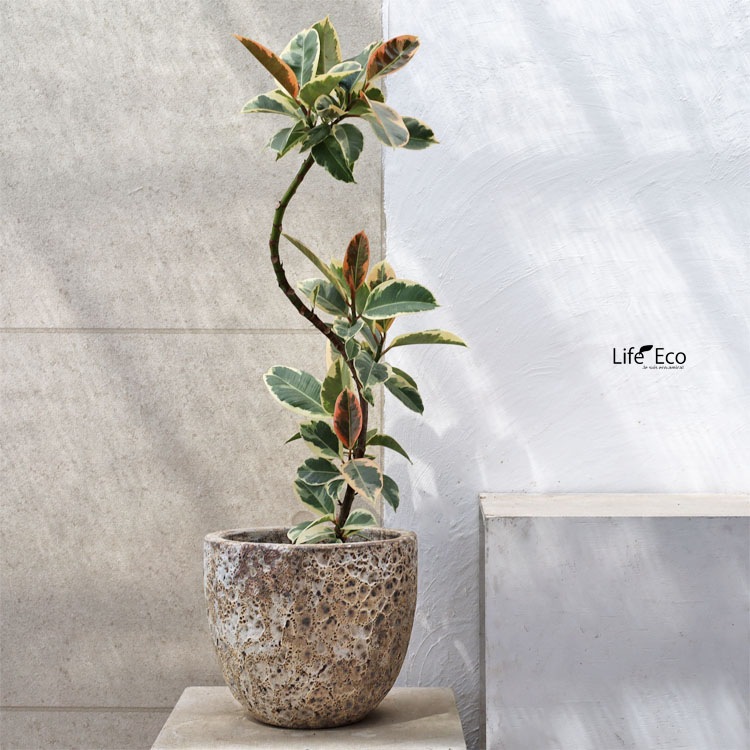 植木鉢 釉薬陶器製 大型 おしゃれ ボルカーノ ラウンド クリーム（ベージュ）φ39cm×H35cm（13号）【送料E】