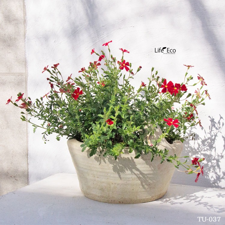 植木鉢 テラコッタ製 チュニジア 037 ホワイト（白） / φ26cmxH22.5cm（9号）【送料E】