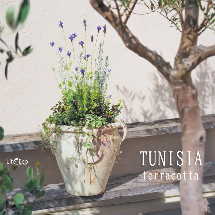 植木鉢 テラコッタ製 チュニジア 038 ホワイト（白） / φ34.5cmxH30.5cm（11号）【送料E】