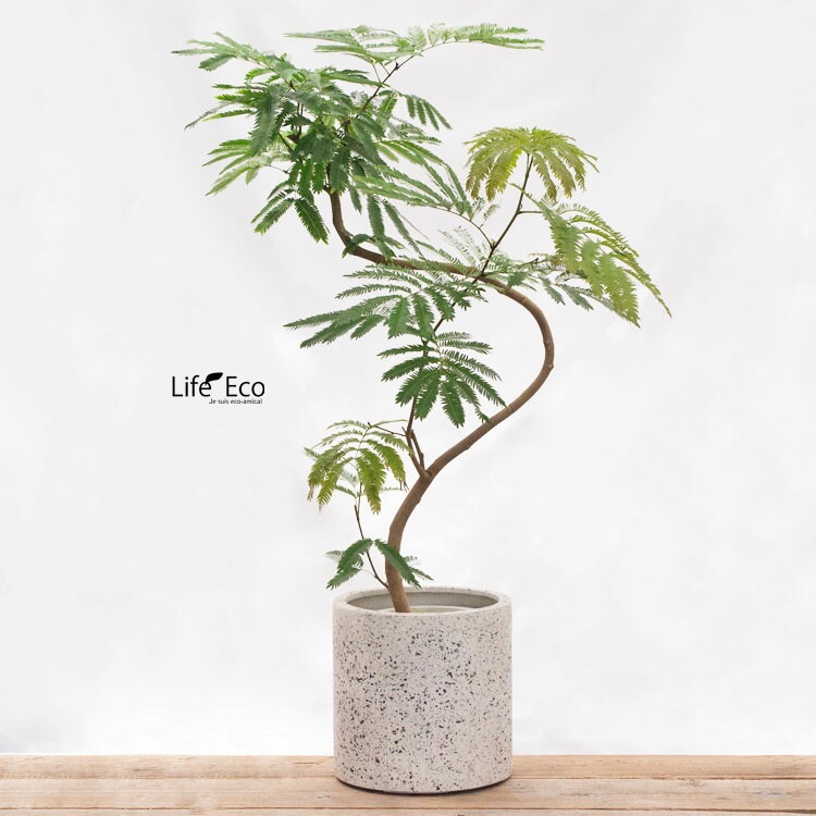 ゾアシリンダー【10号用】鉢カバー グレー/ブラック/ホワイト 【公式通販】