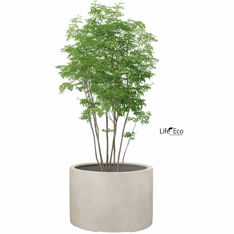 植木鉢 大型 軽量 FPR製 モードライト ローシリンダー アンティークホワイト（白） / φ80cm×H61cm（27号）【大型貨物扱い】【法人配達】【パレット配送・送料お見積り】