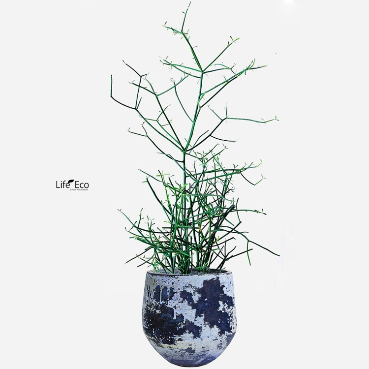 植木鉢 釉薬陶器製 大型 ライスター エッグ ブルーライム（青） φ55cm×H49.5cm（18号）【パレット配送・送料お見積り】