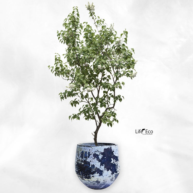 植木鉢 釉薬陶器製 大型 ライスター エッグ ブルーライム（青） φ55cm×H49.5cm（18号）【パレット配送・送料お見積り】