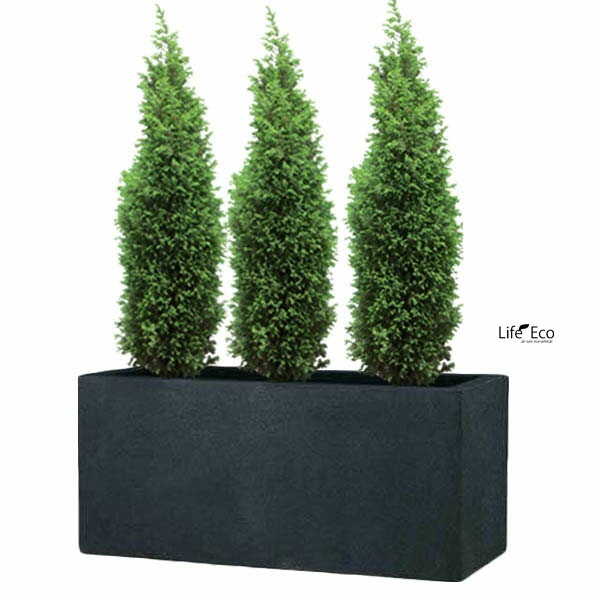 植木鉢 大型 FRP製（ファイバー） おしゃれ 軽量 BLキンロス プランター ブラックー（黒）ツヤ無し マット調 L100cm×W45cm×H45cm（33号）【送料H】