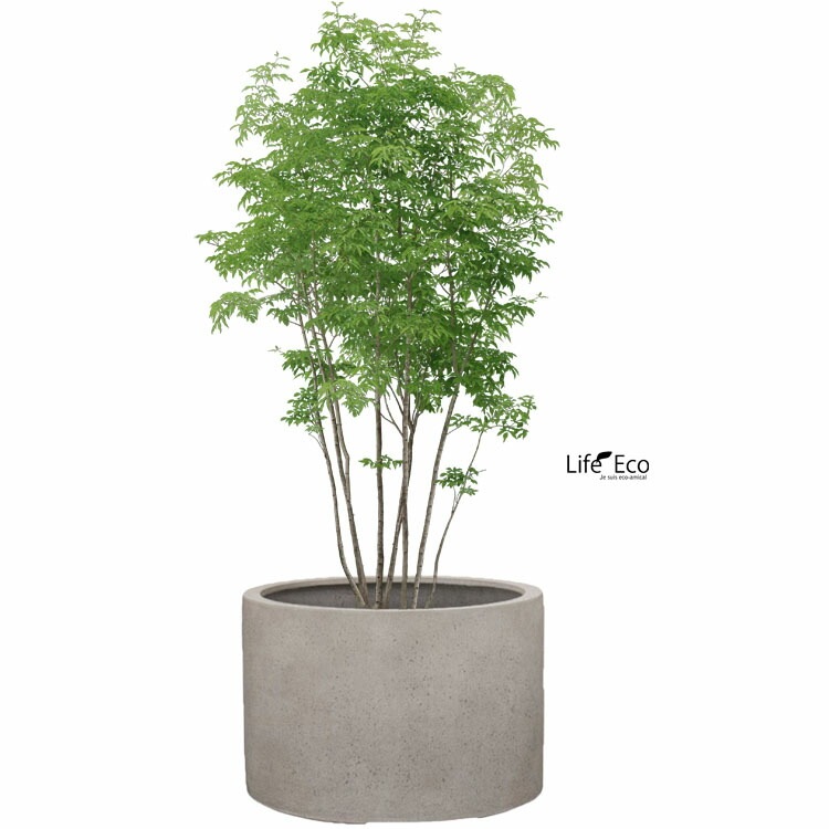 植木鉢 大型 軽量 FPR製 モードライト ローシリンダー ライトグレー / φ80cm×H61cm（27号）【大型貨物扱い】【法人配達】【パレット配送・送料お見積り】