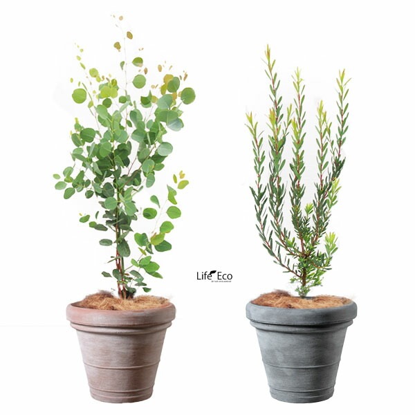 植木鉢 軽量 大型 ボルドー ラウンド グレー（灰）φ40cm×H35cm（13号）【送料C】